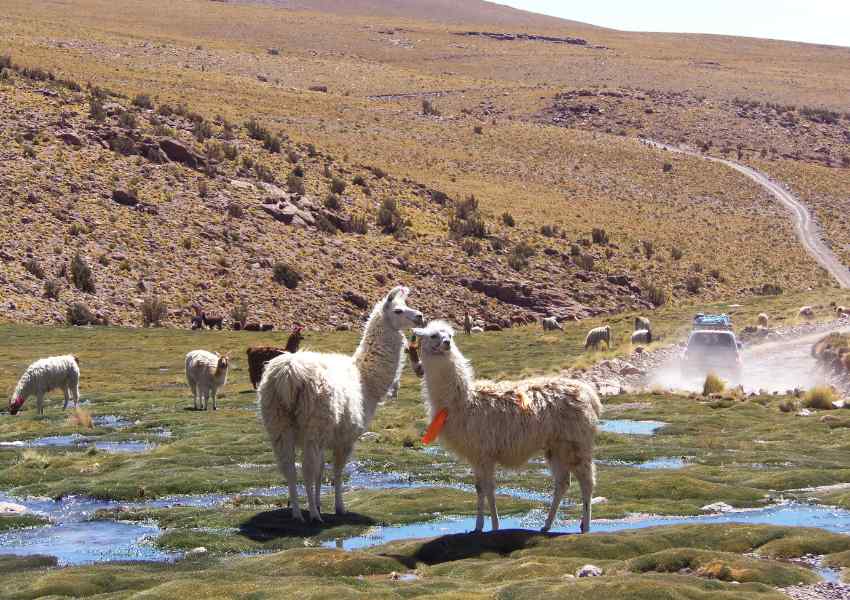 lugares turísticos en Bolivia