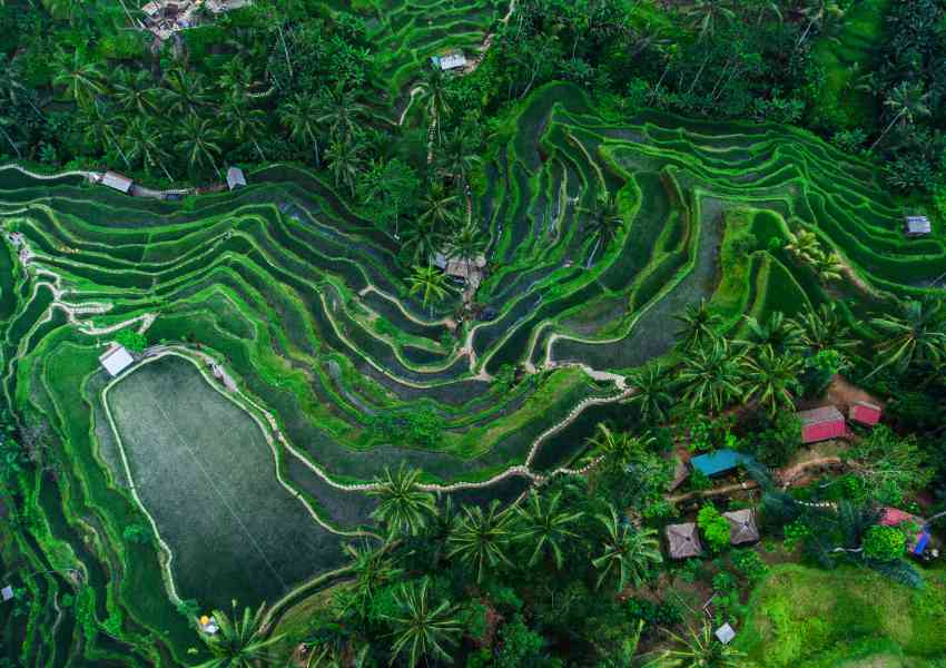 que hacer en Bali Indonesia