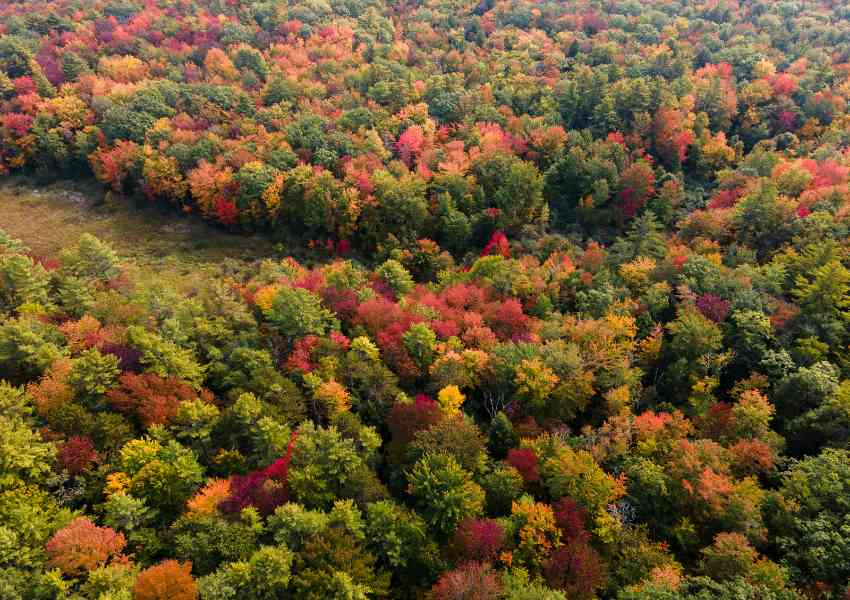 donde viajar en otoño -