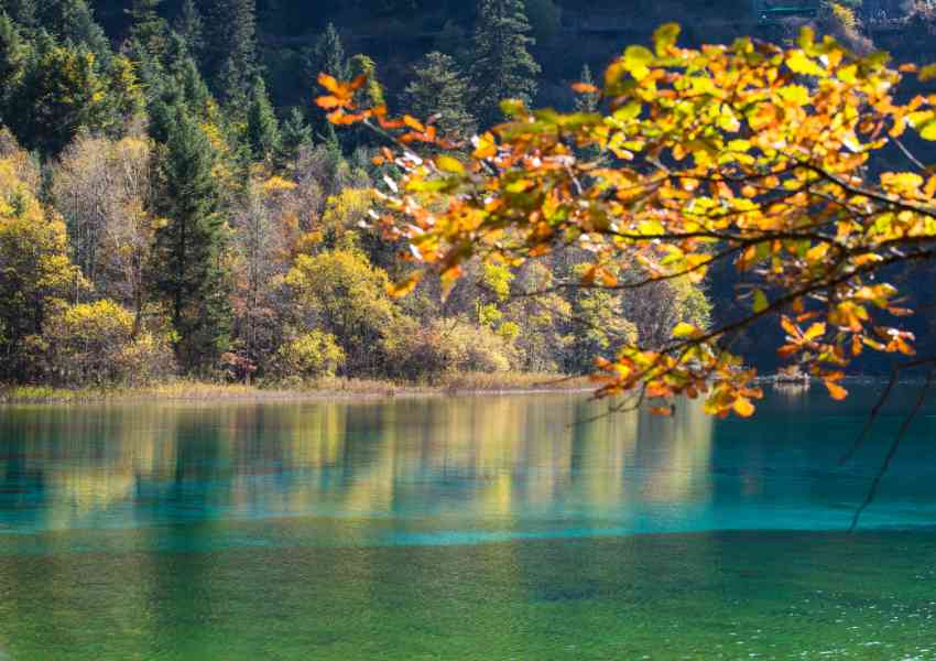 donde viajar en otoño -